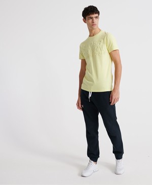 Superdry Embossed Pastel Line Férfi Pólók Zöld | DWRLY1583